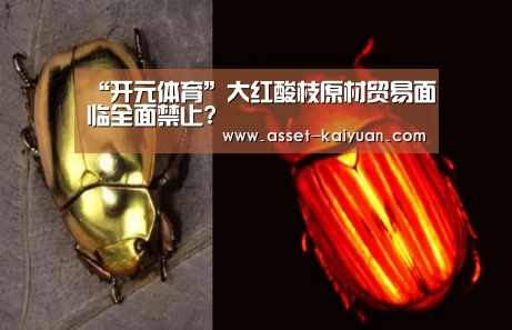 “开元体育”大红酸枝原材贸易面临全面禁止?(图3) 开云