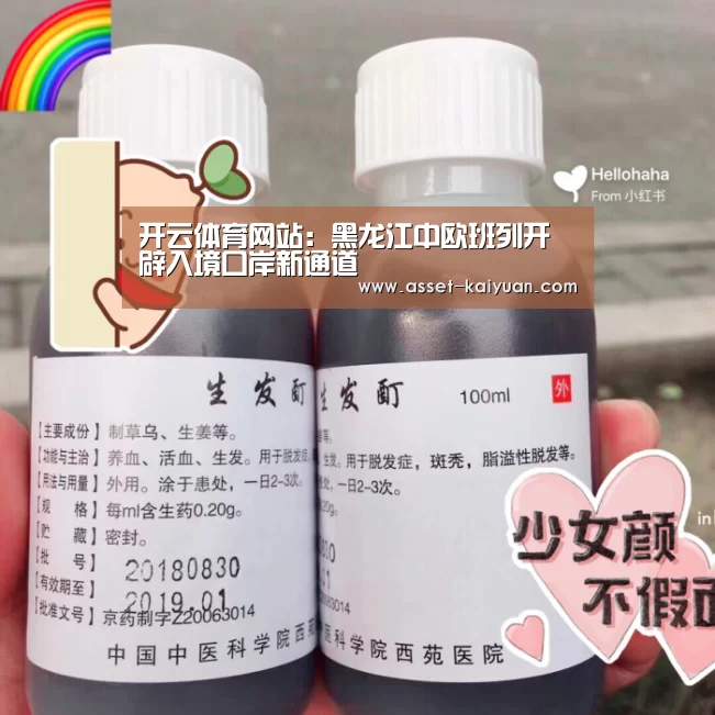 开云体育网站:黑龙江中欧班列开辟入境口岸新通道(图2) 开云体育网站