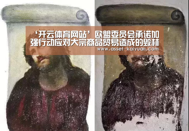 开云体育官网