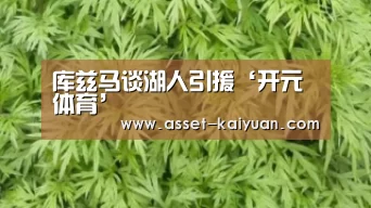 开元体育