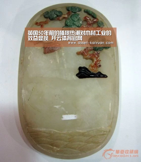 英国50年前的植树热潮对木材工业的效益显现_开云体育官网(图2) 开元体育