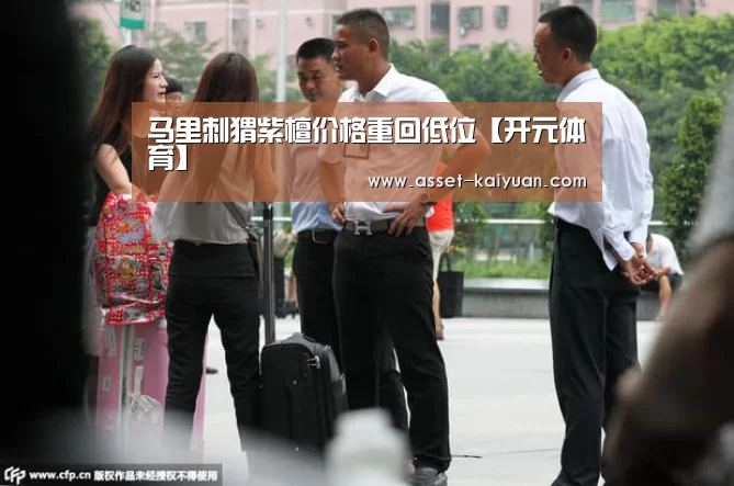 马里刺猬紫檀价格重回低位【开元体育】(图4) 开云体育官网